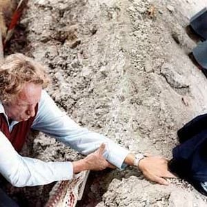 Bilder Francis Veber