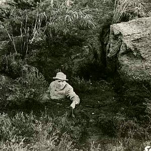 Bilder Terence Fisher