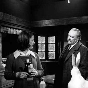 Bilder Jacques Debary