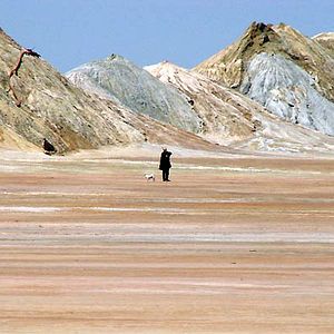 Bilder Michel Houellebecq