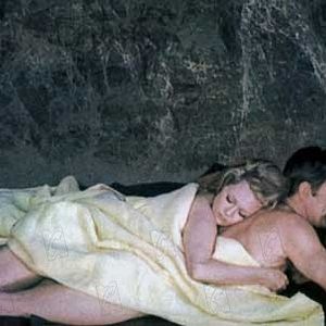 Bilder Das Arrangement