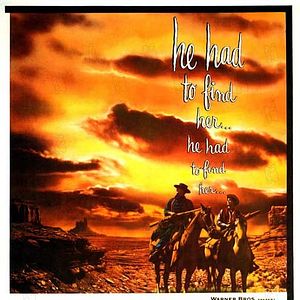 Bilder Der Schwarze Falke