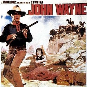 Bilder Der Schwarze Falke