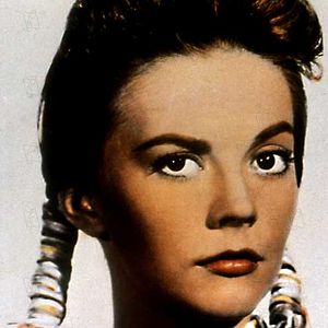 Bilder Der Schwarze Falke