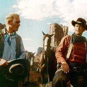 Bilder Der Schwarze Falke