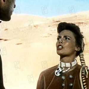 Bilder Der Schwarze Falke