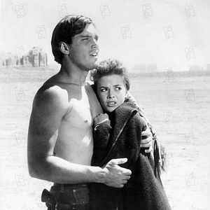 Bilder Der Schwarze Falke