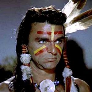 Bilder Der Schwarze Falke