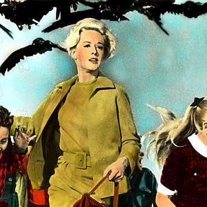 Bilder Tippi Hedren