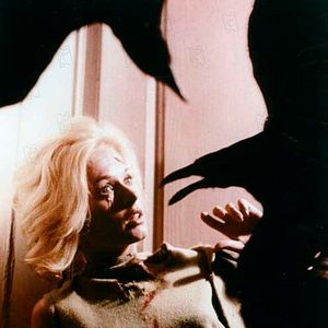 Bilder Alfred Hitchcock