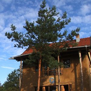 Bilder Menschen -Träume -Taten