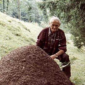 Bilder Das Erbe der Bergler