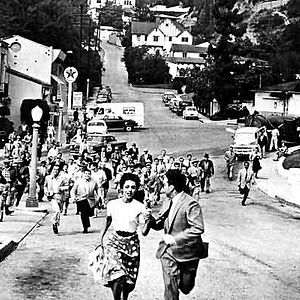 Bilder Kevin McCarthy