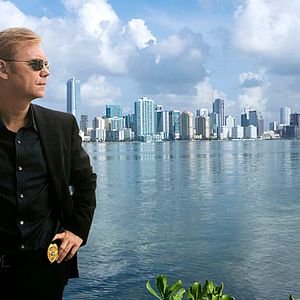 Bilder David Caruso