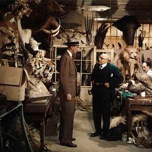 Bilder Alfred Hitchcock