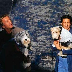 Bilder Jeannot Szwarc