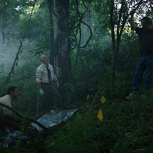 Bilder In the Electric Mist