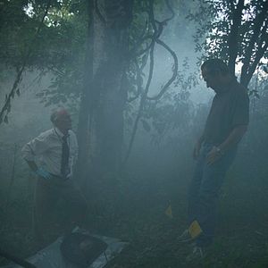 Bilder In the Electric Mist