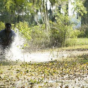 Bilder In the Electric Mist