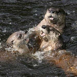 Bilder Philippe Calderon