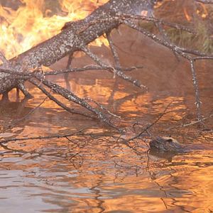 Bilder Philippe Calderon