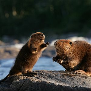 Bilder Philippe Calderon