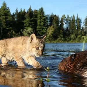 Bilder Philippe Calderon