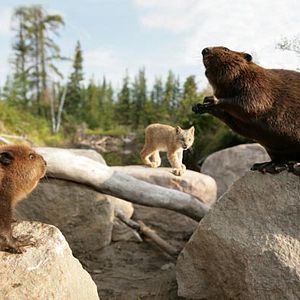 Bilder Philippe Calderon