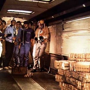 Bilder Peter Collinson