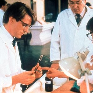 Bilder Die Unzertrennlichen