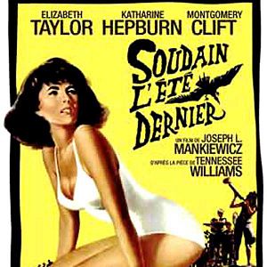 Bilder Plötzlich im letzten Sommer