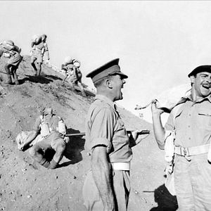 Bilder Ein Haufen toller Hunde