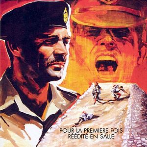 Bilder Ein Haufen toller Hunde