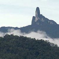 Bilder Bruno Manser - Kampf um den Regenwald