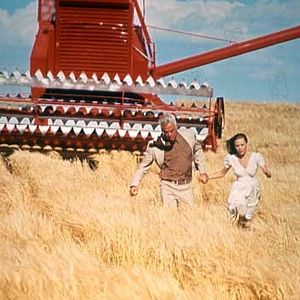 Bilder Michael Ritchie