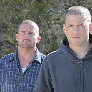 Bilder Wentworth Miller