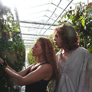 Bilder Für den unbekannten Hund