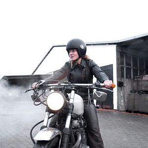 Bilder Für den unbekannten Hund