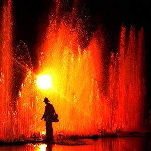 Bilder Für den unbekannten Hund