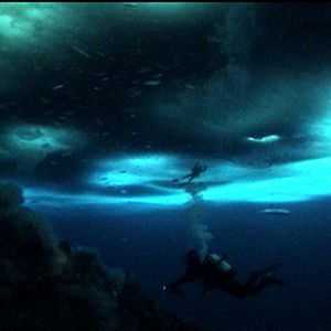 Bilder The Wild Blue Yonder