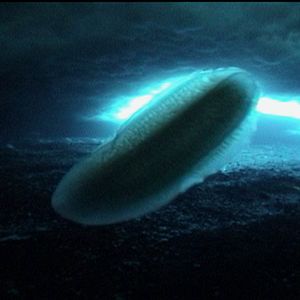 Bilder The Wild Blue Yonder