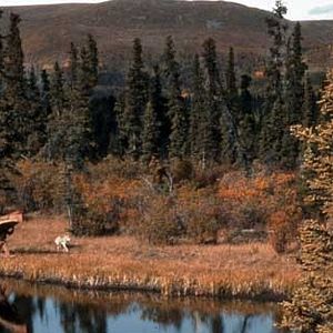 Bilder Nicolas Vanier