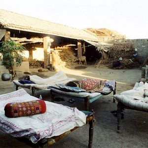 Bilder Mein Tod ist nicht dein Tod