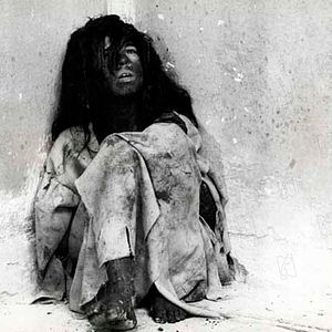 Bilder Der Wolfsjunge