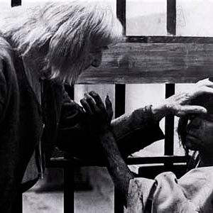 Bilder Der Wolfsjunge