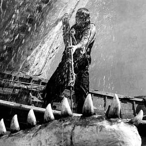 Bilder Moby Dick