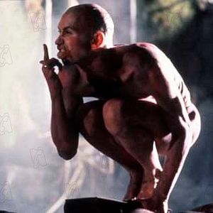 Bilder Prosperos Bücher