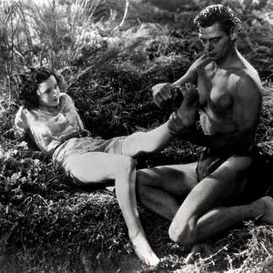 Bilder W.S. Van Dyke