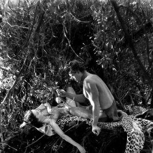 Bilder Tarzan, der Affenmensch