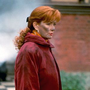 Bilder Dominique Lavanant